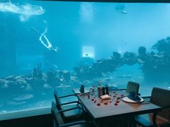 -海棠湾洲际-涛·海底餐厅·美人鱼·自助餐·海底隧道