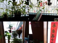 景观位-岳姥姥饺子(泺文路店)