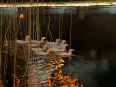 -COMMUNE幻师(天品西岸店)