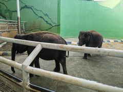 -大连森林动物园