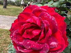 -人民公园(罗湖区)