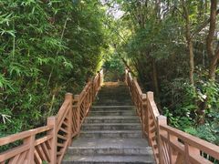 -神光山国家森林公园