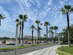 -金沙湖公园