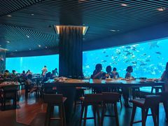 -海棠湾洲际-涛·海底餐厅·美人鱼·自助餐·海底隧道