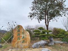 -天适樱花悠乐园