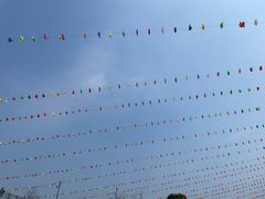 -宁波儿童公园(鄞州区)