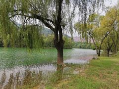 -黄河小浪底水利枢纽风景区