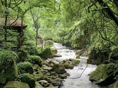 -青城山