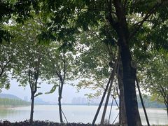 -顺峰山公园