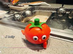 -海底捞火锅(朝阳北路生日主题店)