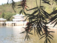-九鲤湖风景区