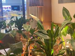 -泰香米泰国餐厅(中大国际店)