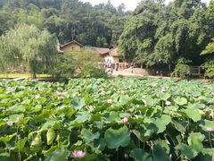 -韶山毛泽东同志故居