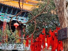 -寂照庵