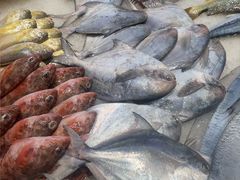 -小厨师·二十年沈家门小海鲜(百井坊巷店)