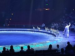 -珠海横琴长隆《卡卡虎奇遇记》