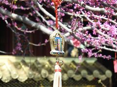 -西安市广仁寺