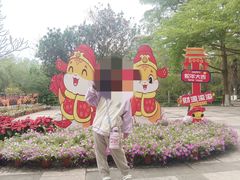 -广东茂名森林公园