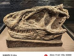 -自贡恐龙博物馆