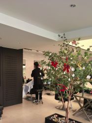 -付军剪艺JF ProSalon