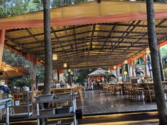 -二荆条·蜀鲜汇城市森林火锅