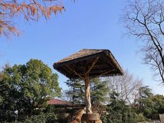 -上海野生动物园