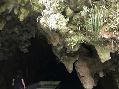 -怀托摩萤火虫洞