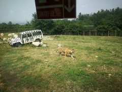 -西安秦岭野生动物园