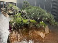 -绍兴饭店知遇楼(环山路店)