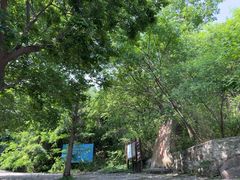 -连云港云龙涧原生态风景区