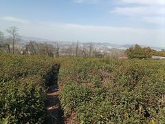 -南京市江宁方山