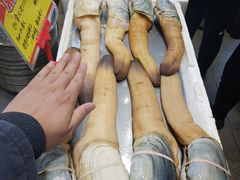 -蚝专家(北滘店)