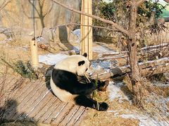 -青藏高原野生动物园