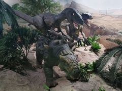 -国家自然博物馆