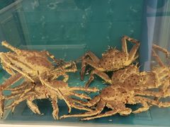 -财神岛·大连海鲜餐厅