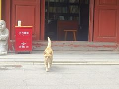-福州开元寺