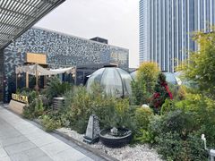 -龟兹KUCINA·新疆菜(前滩L+PLAZA店)