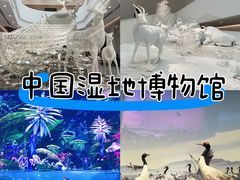 -中国湿地博物馆