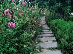 -西安汉城湖景区