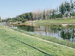-坝河休闲公园