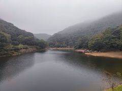 -桃花岭景区
