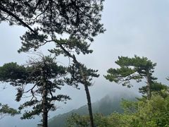 -含鄱口