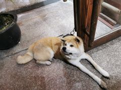 -盈田盈粥庄(博山东路店)