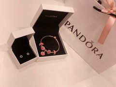 -Pandora潘多拉珠宝(武商广场店)