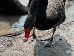 -西山漾湿地公园