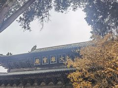 -报恩寺(平武县)