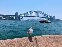 -悉尼海港大桥