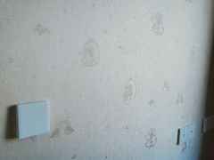 -JCC天洋墙布·窗帘(宜山路店)