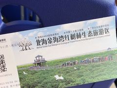 -北海金海湾红树林生态旅游区