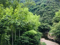 -水墨汀溪风景区
